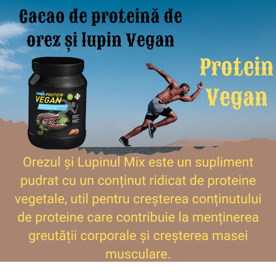 VEGAN-CACAO DE PROTEINA