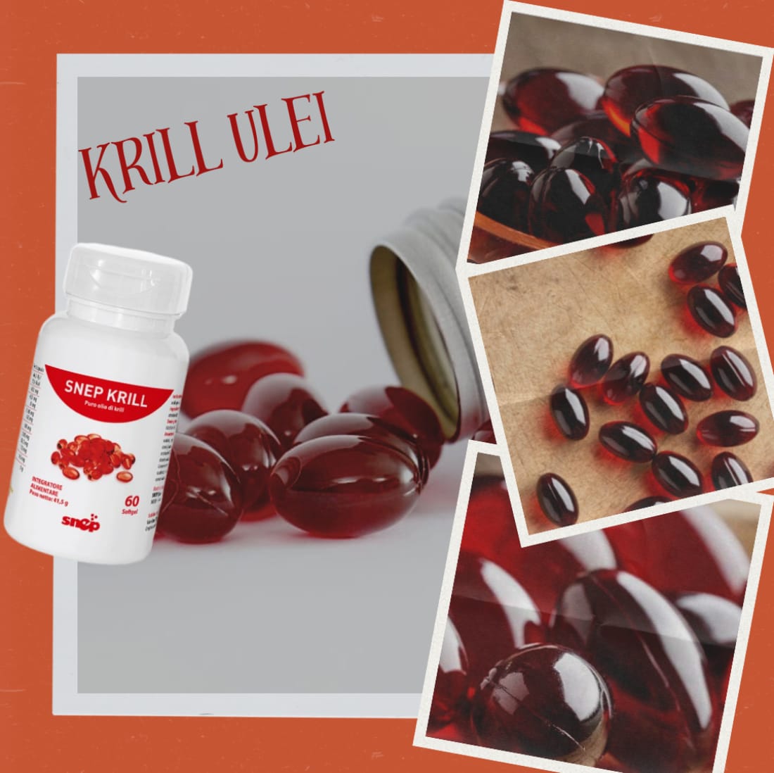 KRILL ULEI