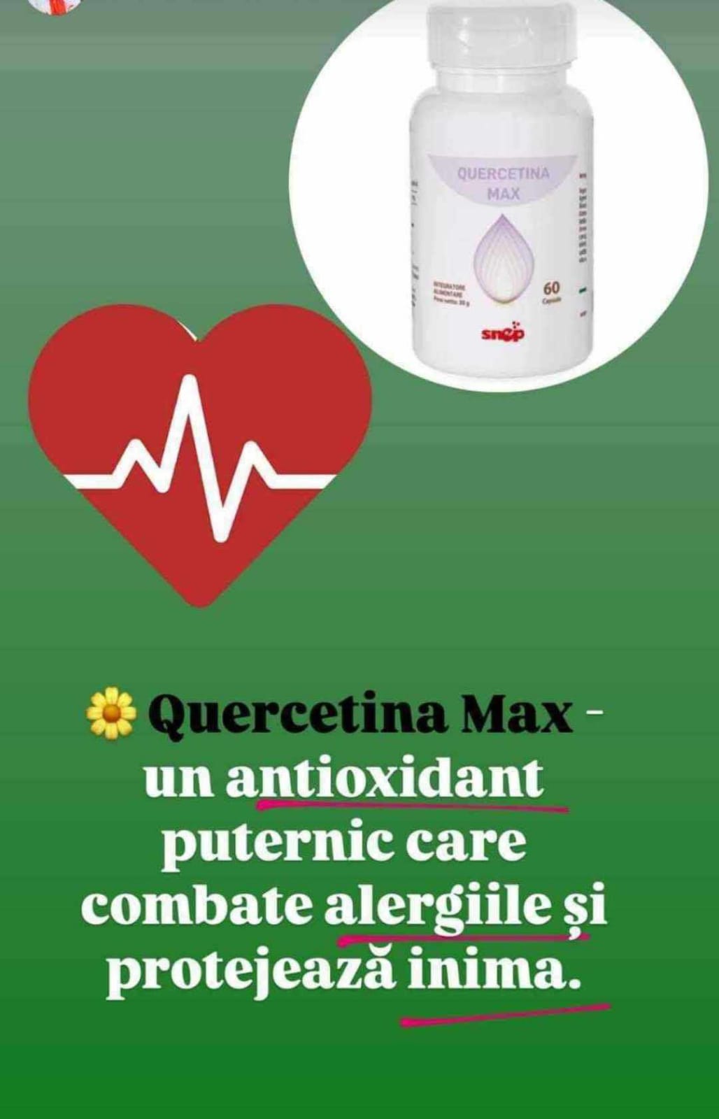 QUERCETINA MAX