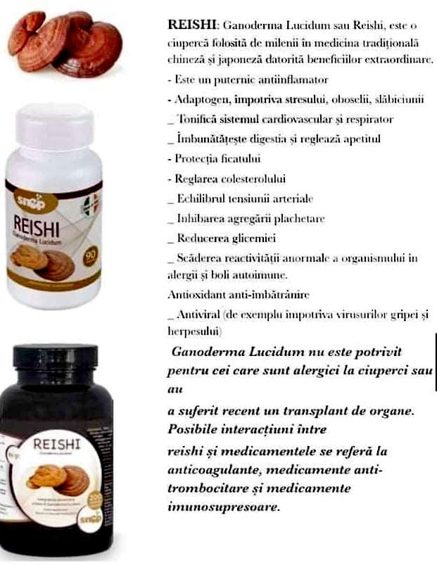 REISHI