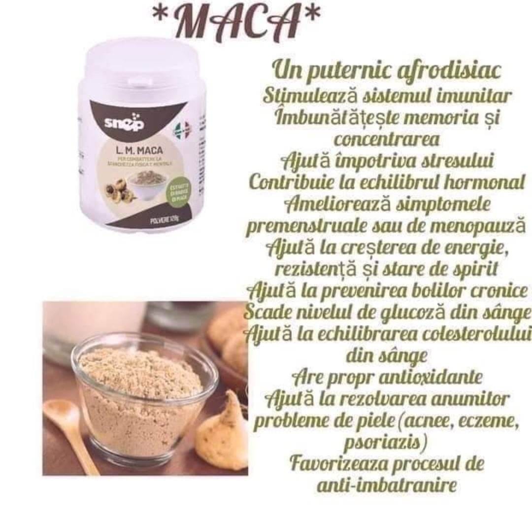 MACA