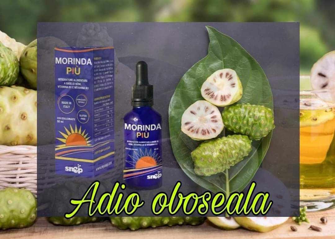 Morinda PIU