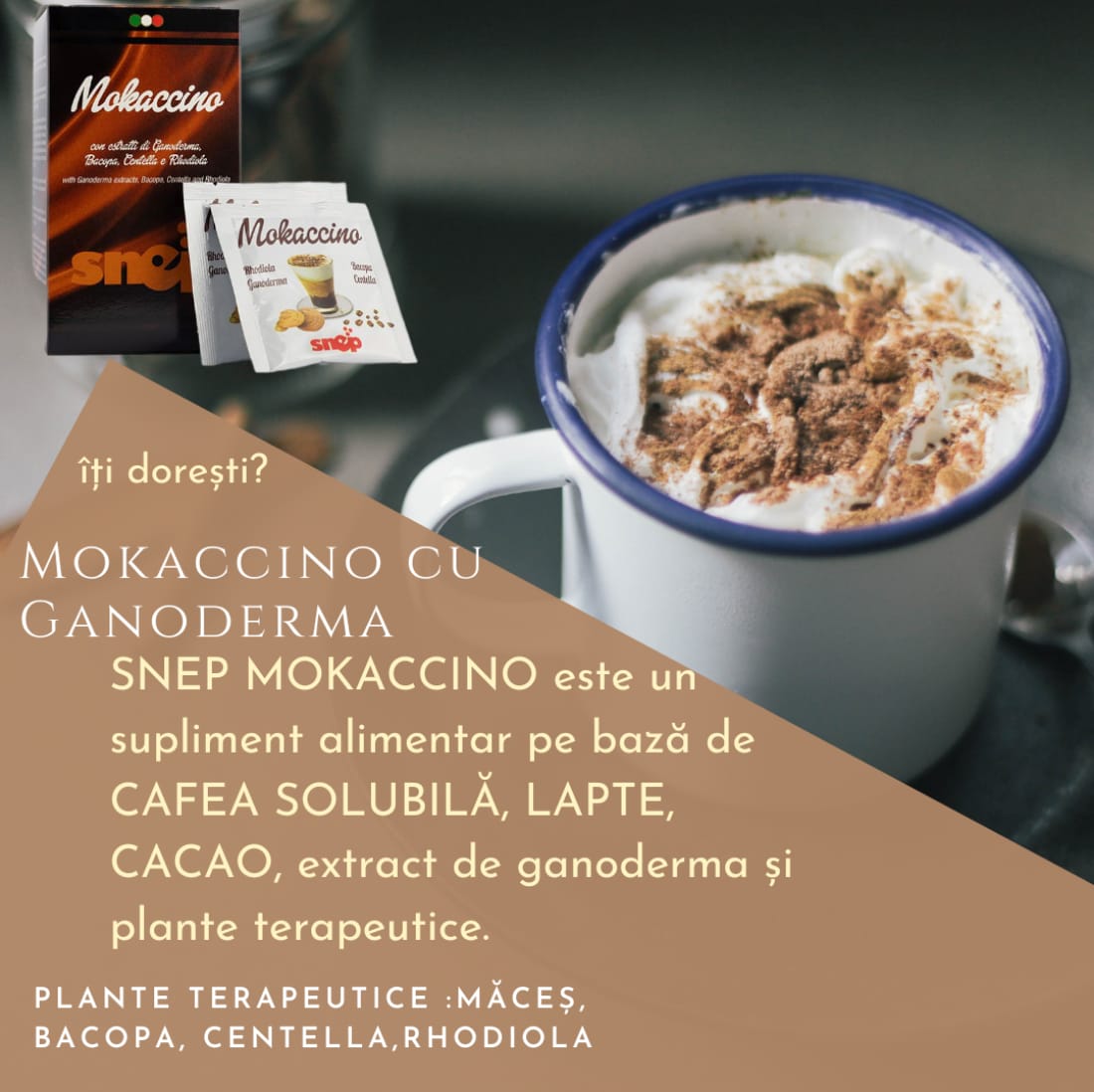 MOKACCINO CU GANODERMA